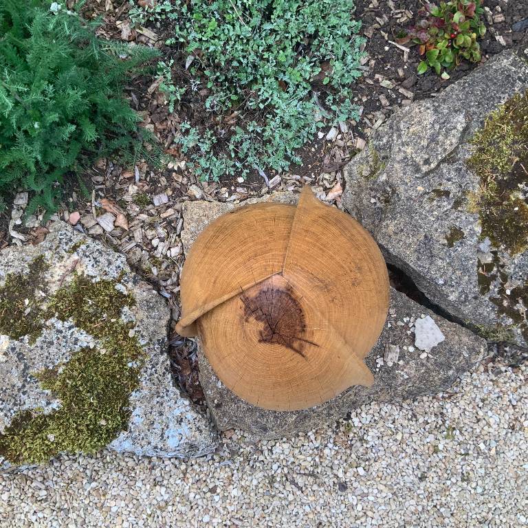 rotational symmetry