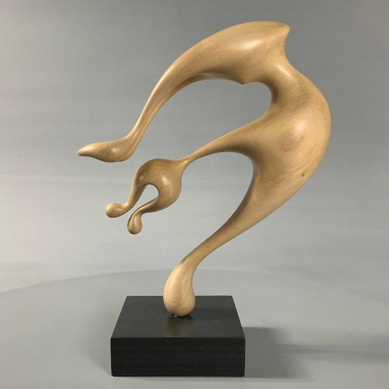 Spirit of Motion 1 by Misti Leitz